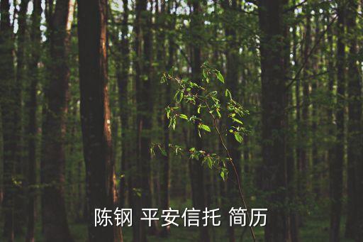 陳鋼 平安信托 簡(jiǎn)歷