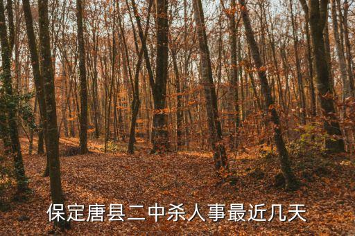 保定唐縣二中殺人事最近幾天