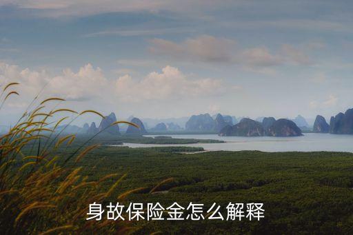身故保險(xiǎn)金怎么解釋