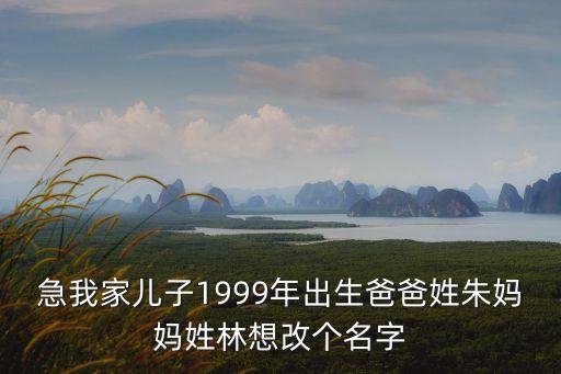 急我家兒子1999年出生爸爸姓朱媽媽姓林想改個(gè)名字