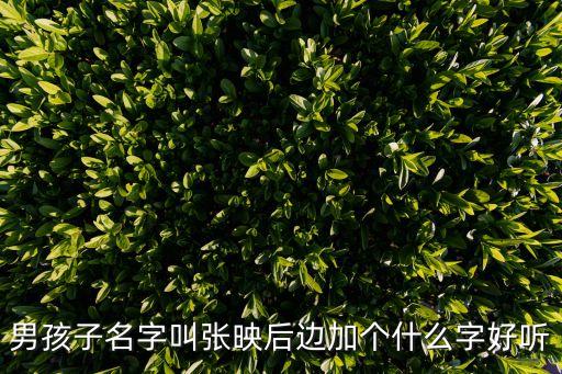 男孩子名字叫張映后邊加個(gè)什么字好聽(tīng)
