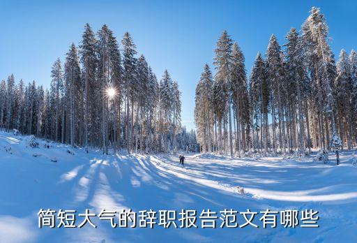 辭職報告范文，辭職書怎么寫