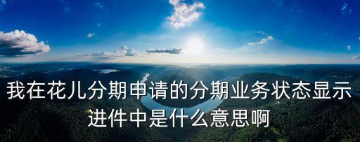 我在花兒分期申請的分期業(yè)務(wù)狀態(tài)顯示進(jìn)件中是什么意思啊