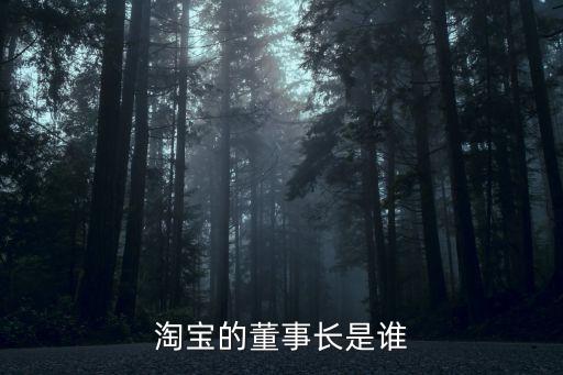 淘寶老板，淘寶的董事長是誰