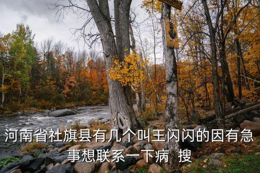 王閃閃，abb式網(wǎng)名 王XX 比如 王閃閃 還有什么啊