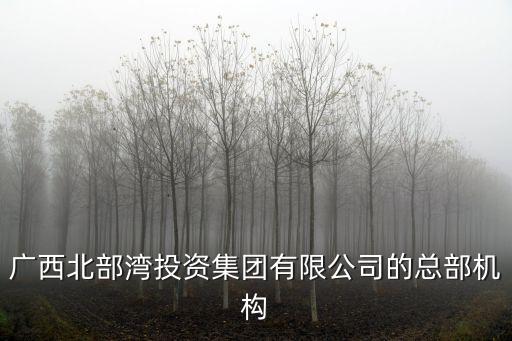 廣西北部灣投資集團有限公司的總部機構(gòu)