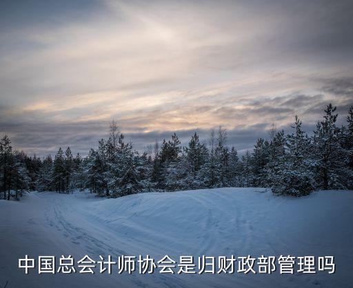 中總協(xié)，中總協(xié)的總會(huì)計(jì)師證書(shū)含金量怎么樣