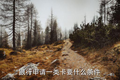銀行申請(qǐng)一類卡要什么條件
