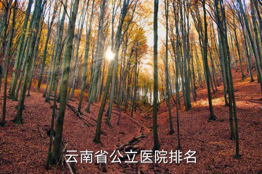 公立醫(yī)院，云南省公立醫(yī)院排名