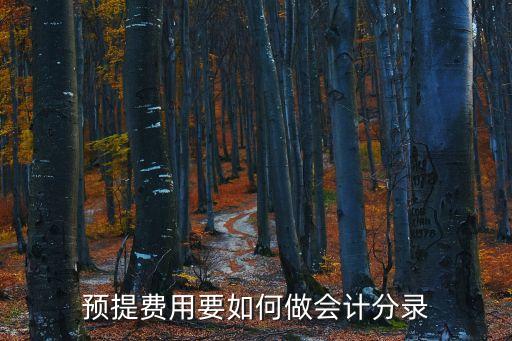 預(yù)提費用的賬務(wù)處理，如何預(yù)提費用做會計分錄
