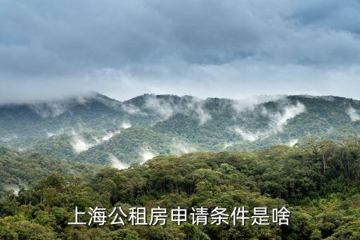 上海公租房申請(qǐng)條件是啥