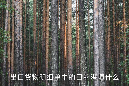 出口貨物明細單中的目的港填什么