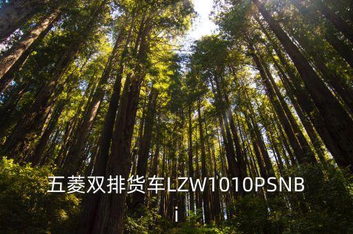 五菱雙排貨車LZW1010PSNBi