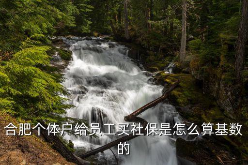 合肥社?；鶖?shù)，合肥個(gè)體戶給員工買社保是怎么算基數(shù)的