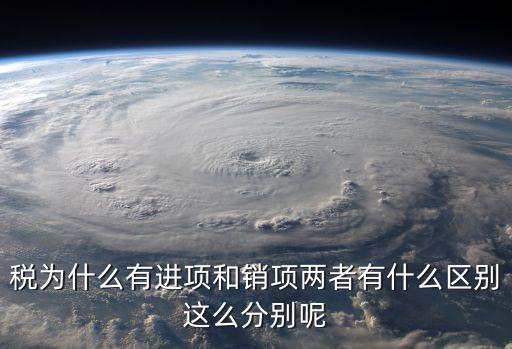 稅為什么有進項和銷項兩者有什么區(qū)別這么分別呢