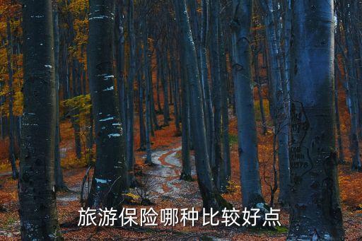 旅游保險(xiǎn)哪種比較好點(diǎn)