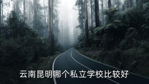 云南昆明哪個私立學校比較好
