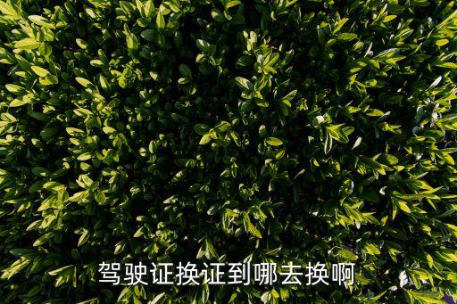 換駕照在哪里換，駕駛證換證到哪去換啊