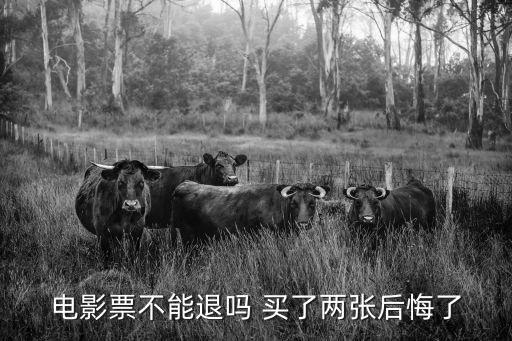 電影票不能退嗎 買了兩張后悔了