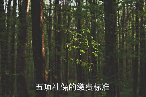 五項(xiàng)社保的繳費(fèi)標(biāo)準(zhǔn)