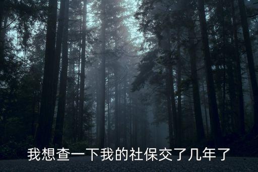 我想查一下我的社保交了幾年了