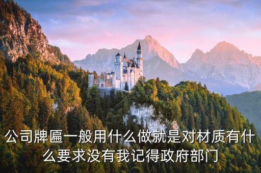 公司牌子，公司牌匾一般用什么做就是對材質有什么要求沒有我記得政府部門