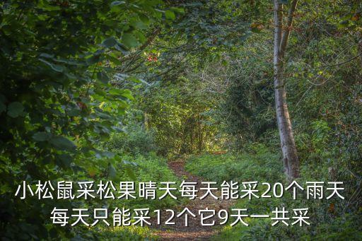 小松鼠采松果晴天每天能采20個雨天每天只能采12個它9天一共采