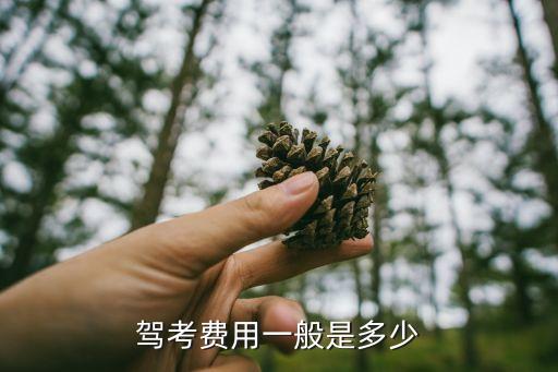 駕照考試費(fèi)用收費(fèi)標(biāo)準(zhǔn)，駕考費(fèi)用一般是多少