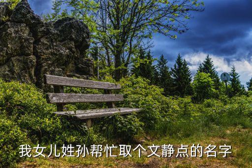 孫靜雯，安徽省蕭縣楊樓鎮(zhèn)路套小學(xué)孫靜雯學(xué)籍號是多少