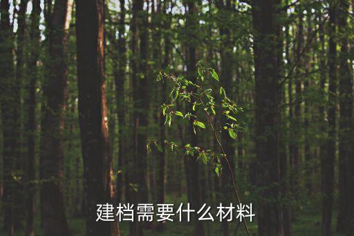 建檔需要什么材料
