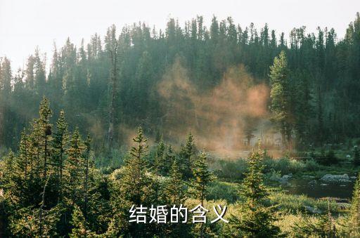 結婚的含義