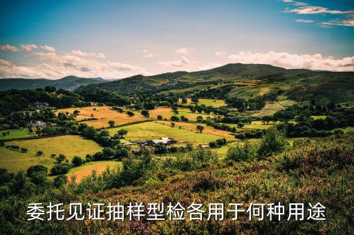 見證取樣檢測，委托見證抽樣型檢各用于何種用途