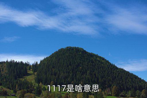 917是什么意思，917代表什么