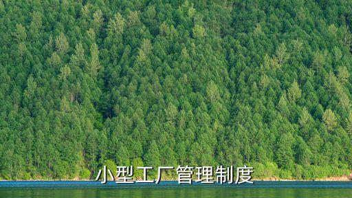 小型工廠規(guī)章制度，小型工廠管理制度