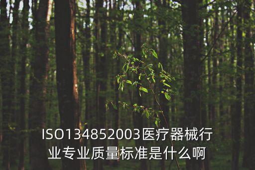 ISO134852003醫(yī)療器械行業(yè)專業(yè)質(zhì)量標(biāo)準(zhǔn)是什么啊