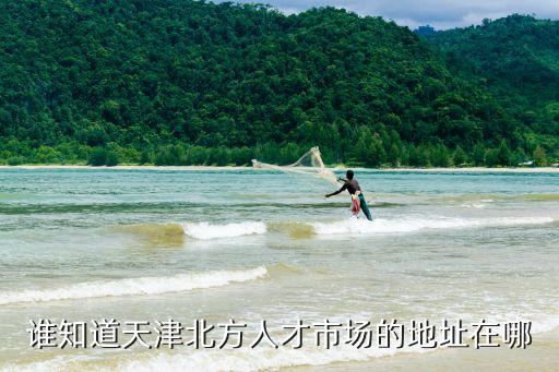 誰知道天津北方人才市場的地址在哪