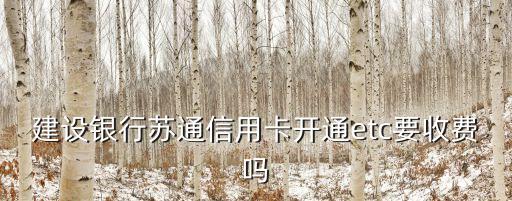 蘇通卡etc，上高速需要把蘇通卡插入Etc設(shè)備嗎