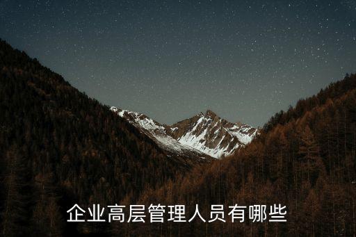 企業(yè)高層管理人員有哪些