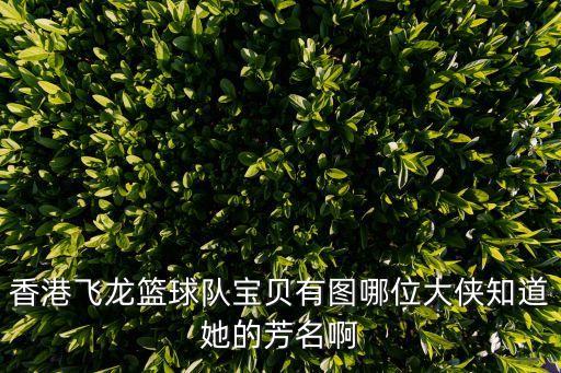 香港飛龍籃球隊寶貝有圖哪位大俠知道她的芳名啊