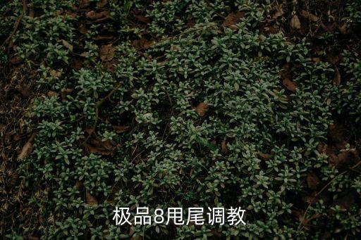 調(diào)教白絲，天下貳逍遙任務(wù)怎樣才可以變出白絲