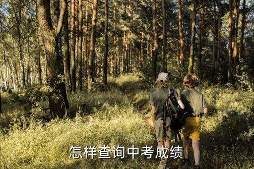 中考分?jǐn)?shù)怎么查詢，如何查詢中考分?jǐn)?shù)