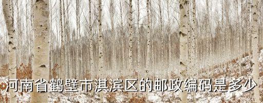 河南省鶴壁市淇濱區(qū)的郵政編碼是多少
