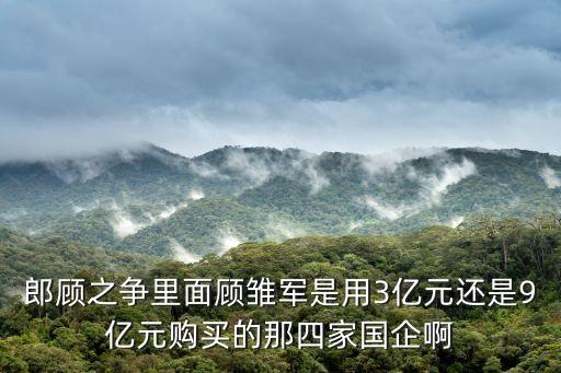 郎顧之爭里面顧雛軍是用3億元還是9億元購買的那四家國企啊