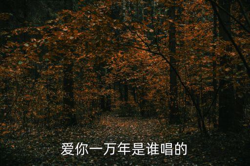 王少峰，禹州大禹賽車(chē)場(chǎng)王少峰是哪里人