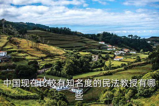 法律專家，中國(guó)現(xiàn)在比較有知名度的民法教授有哪些