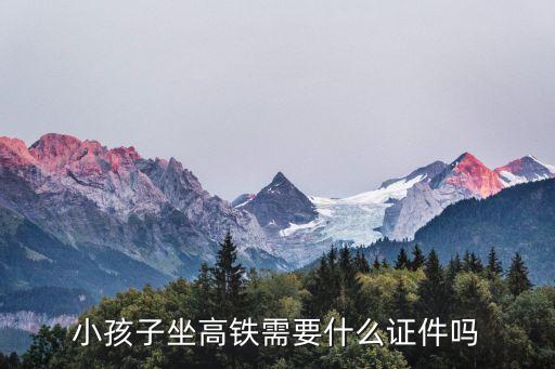 小孩子坐高鐵需要什么證件嗎