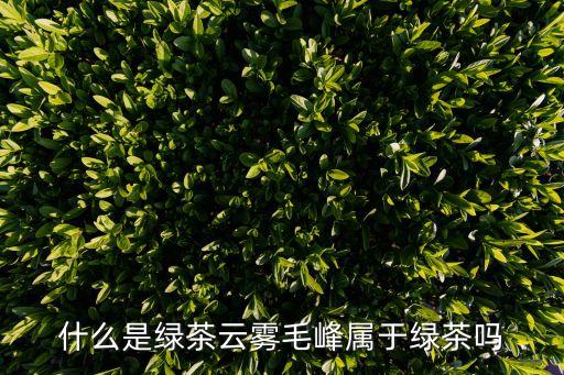什么是綠茶云霧毛峰屬于綠茶嗎