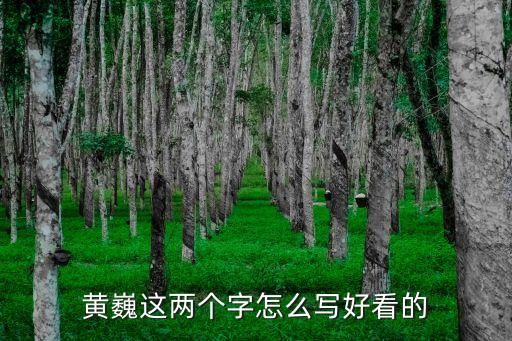 黃巍，HIT5有誰