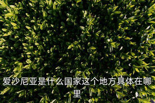 愛(ài)沙尼亞是什么國(guó)家這個(gè)地方具體在哪里