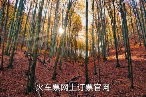 訂票官網(wǎng)，火車票網(wǎng)上訂票官網(wǎng)